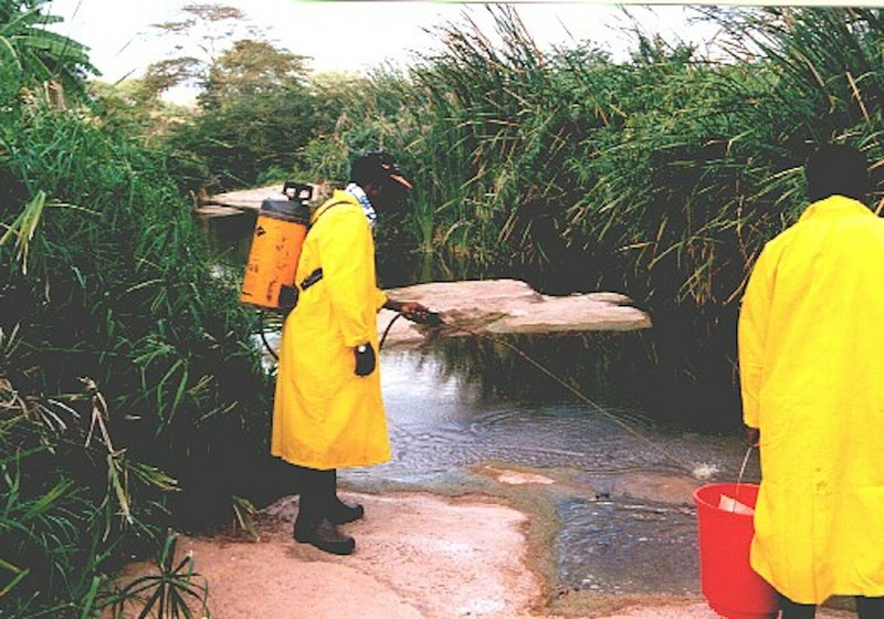 Parasintos - Skuteczne Zmniejszenie Bólu i Swędzenia w Stawach